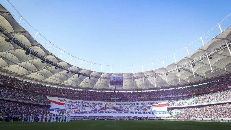 Bahia x Palmeiras: dicas, palpites e chances no Brasileirão