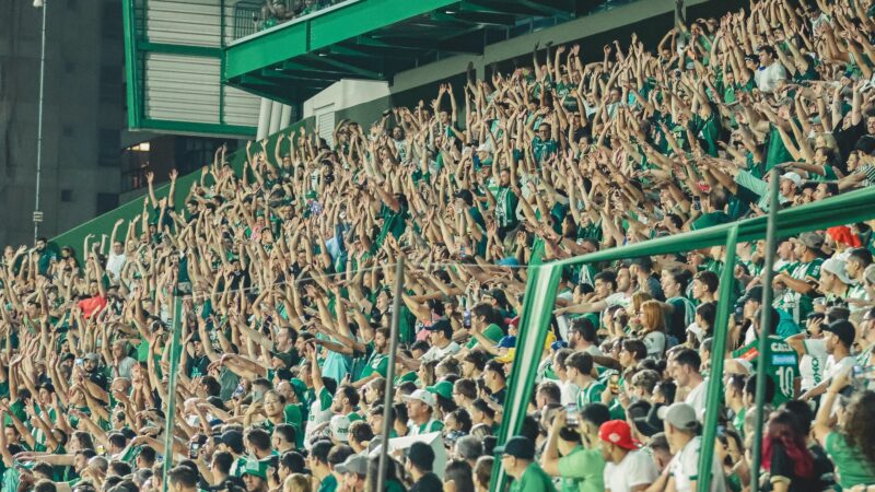 Chapecoense x Vitória: dicas, palpites e chances no Brasileirão