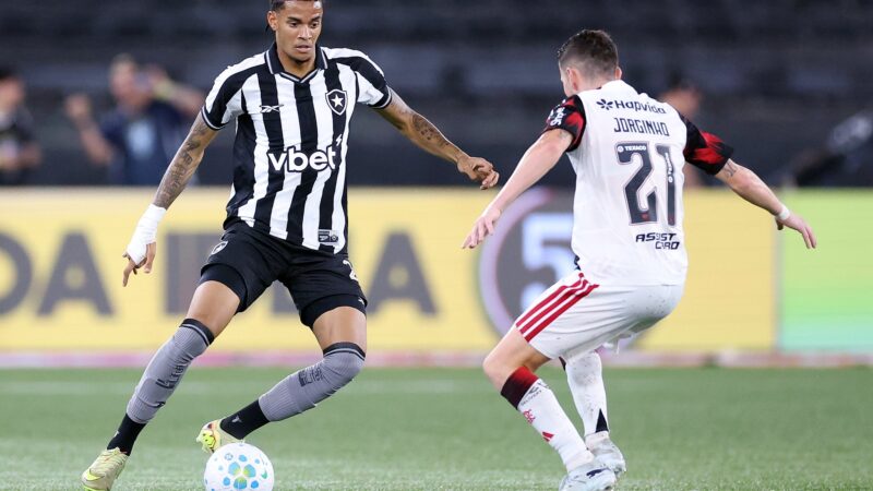 Com Allan e Newton recuperados de lesão, veja relacionados para Botafogo x Mirassol