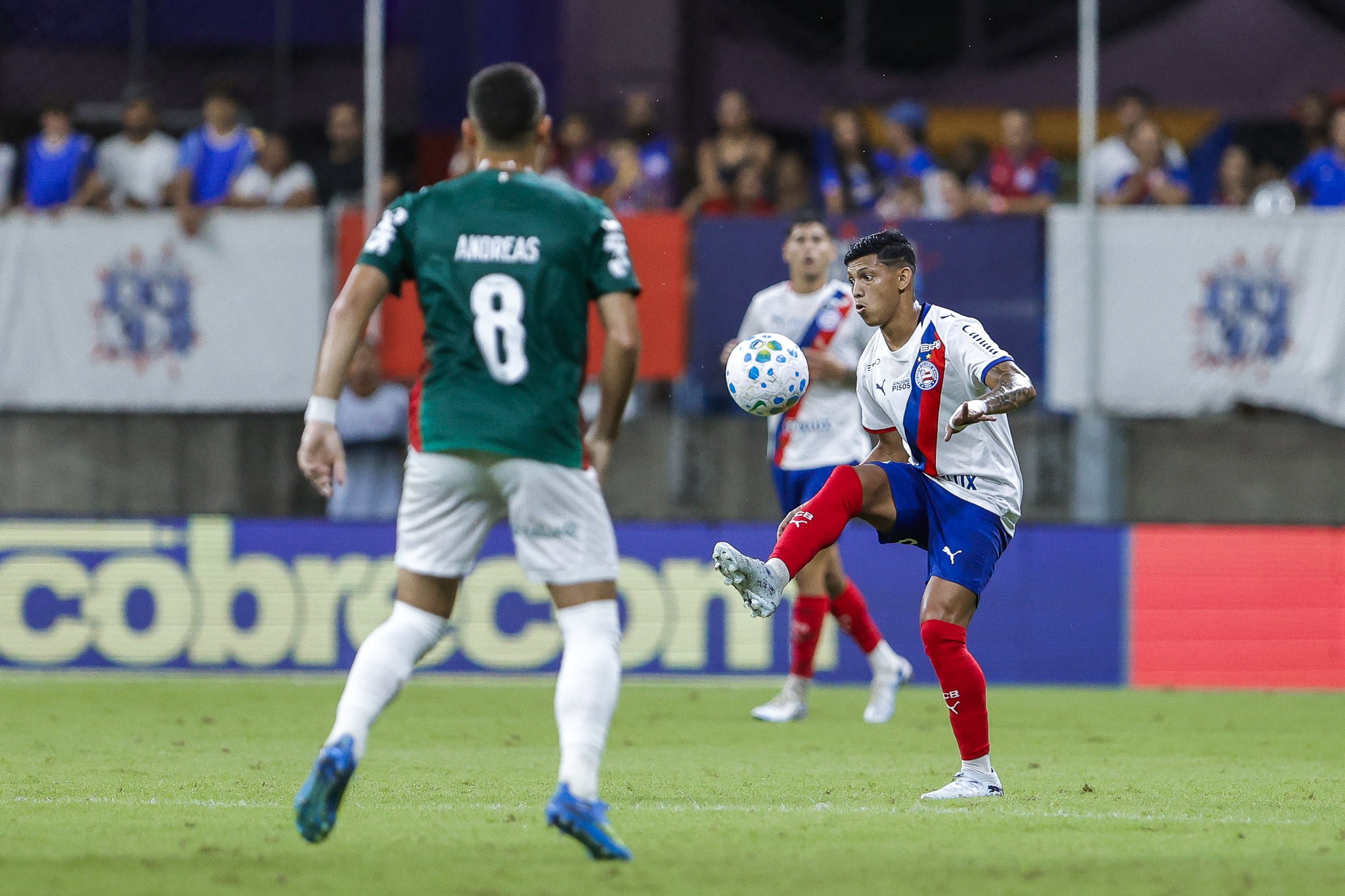 Bahia 1 x 2 Palmeiras: assista aos gols e melhores momentos do jogo