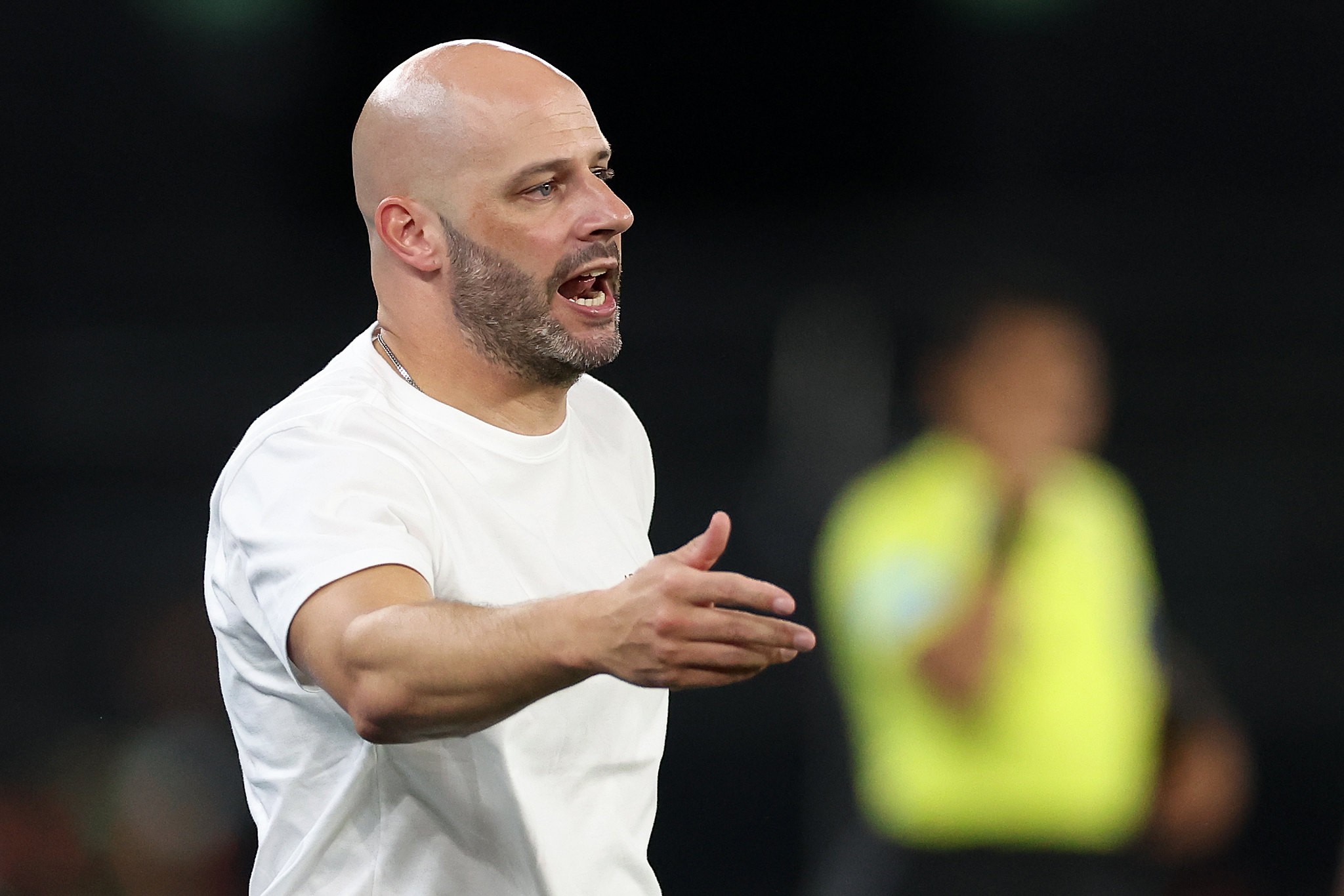 “Não posso priorizar”: veja como Franclim terá de gerir o calendário do Botafogo