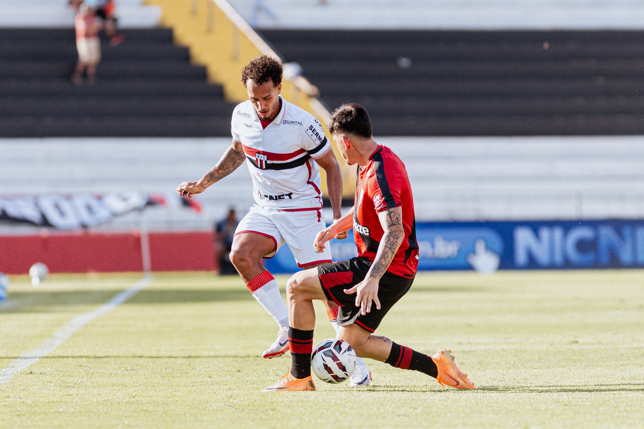 Morelli vê Botafogo-SP em evolução na Série B e pede ajuste no ataque: “Futebol é detalhe”