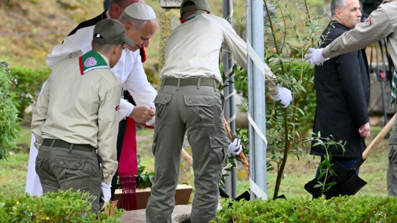 Papa Leão visita antiga cidade romana na Argélia e planta oliveira