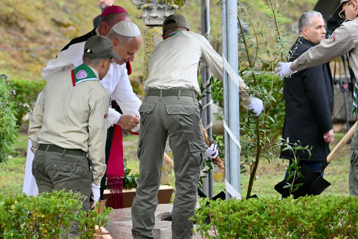 Papa Leão visita antiga cidade romana na Argélia e planta oliveira