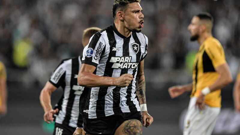 Botafogo volta a disputar a Sul-Americana após três anos; veja como foi a última participação