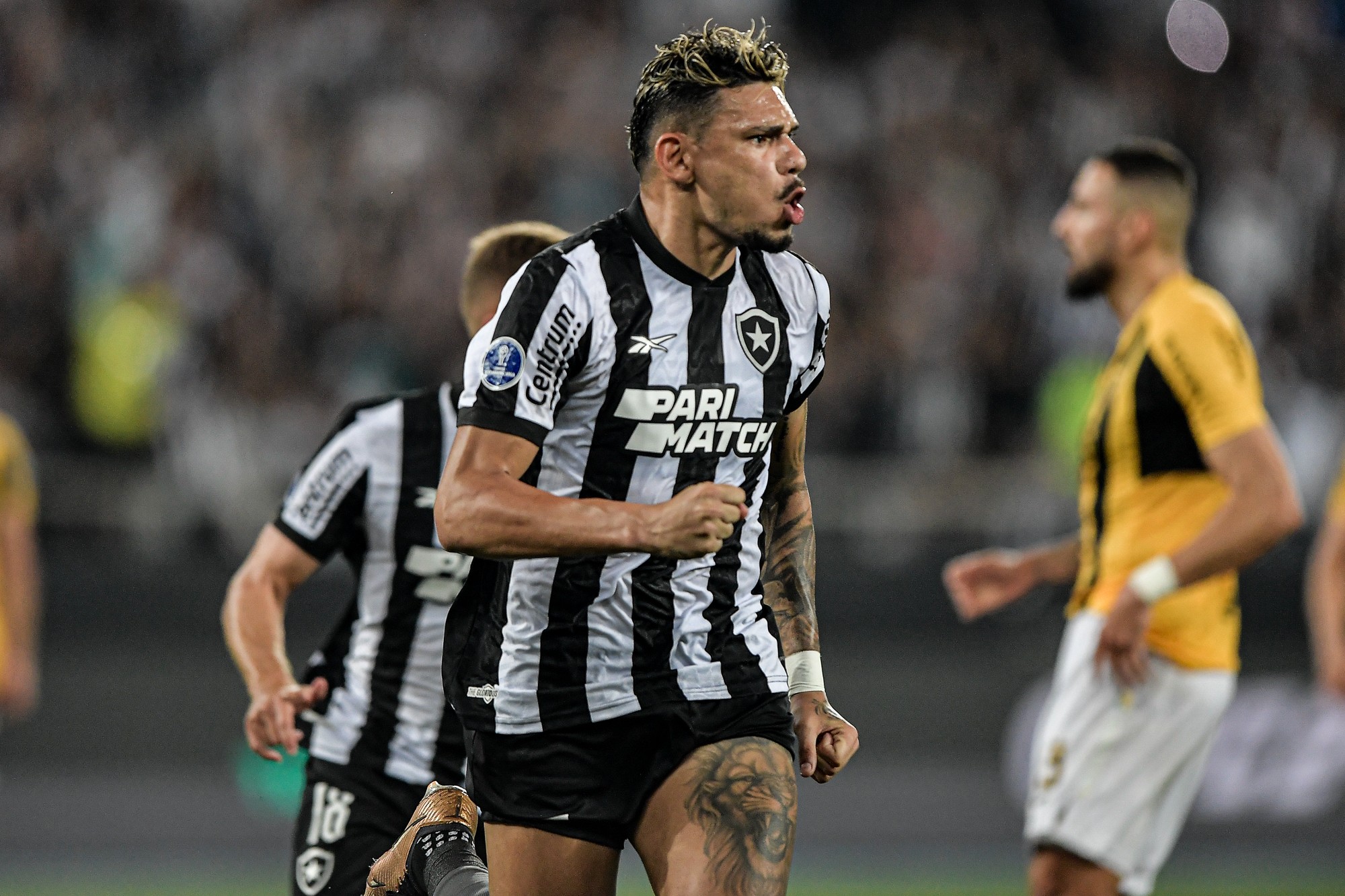 Botafogo volta a disputar a Sul-Americana após três anos; veja como foi a última participação