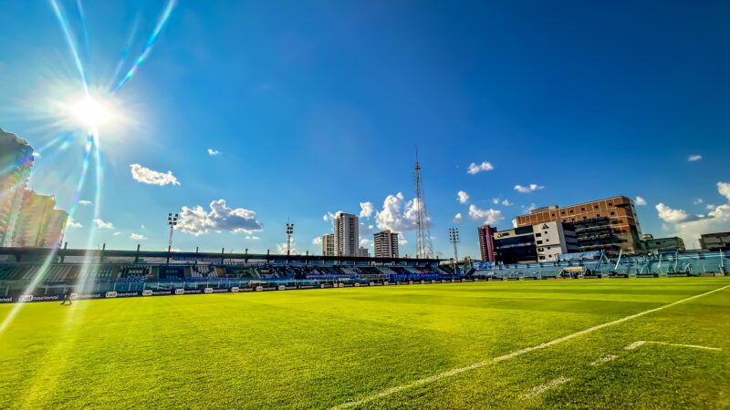 Paysandu x Brusque: onde assistir ao vivo, horário e escalações