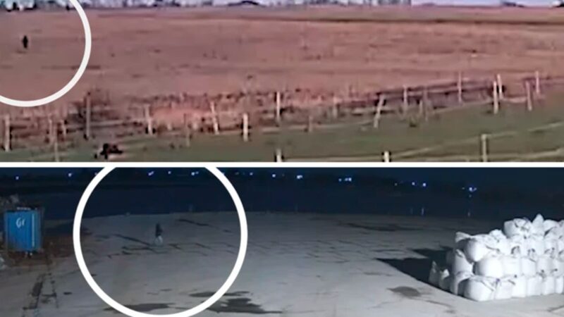 O que novas imagens divulgadas pela polícia podem indicar sobre desaparecimento de brasileira na Inglaterra