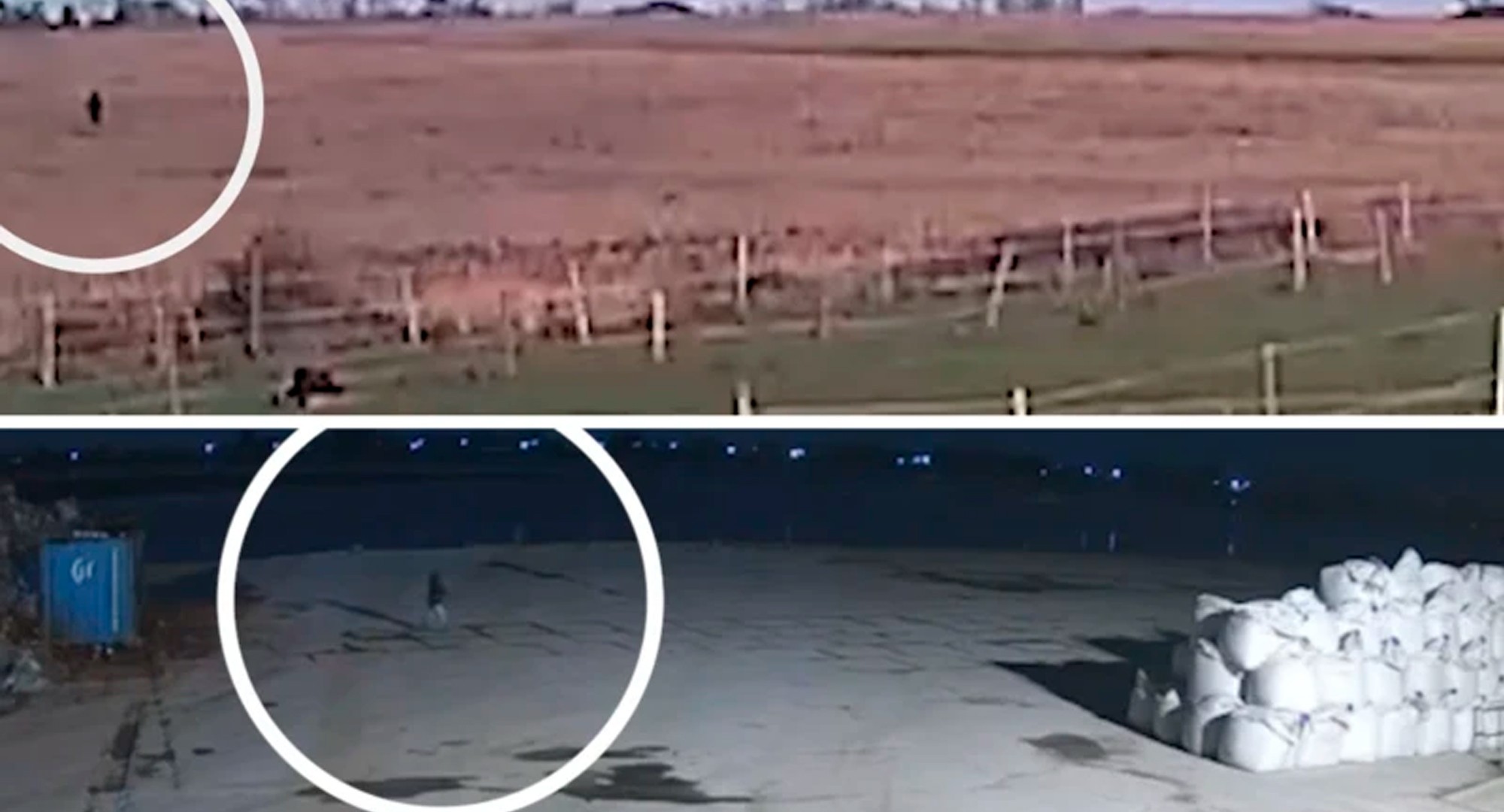 O que novas imagens divulgadas pela polícia podem indicar sobre desaparecimento de brasileira na Inglaterra