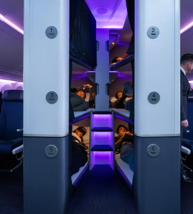Companhia da Nova Zelândia vai oferecer ‘cápsulas de soneca’ na classe econômica, mas é proibido dormir de conchinha