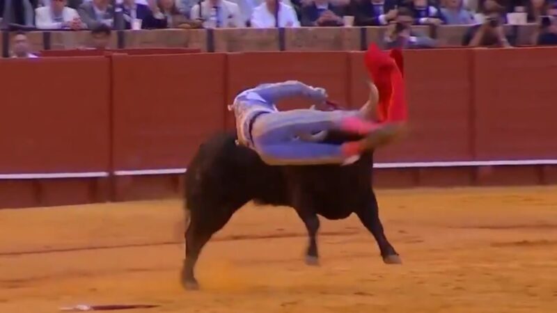 Peruano fica gravemente ferido após levar chifrada de 35 centímetros em tourada na Espanha; veja vídeo