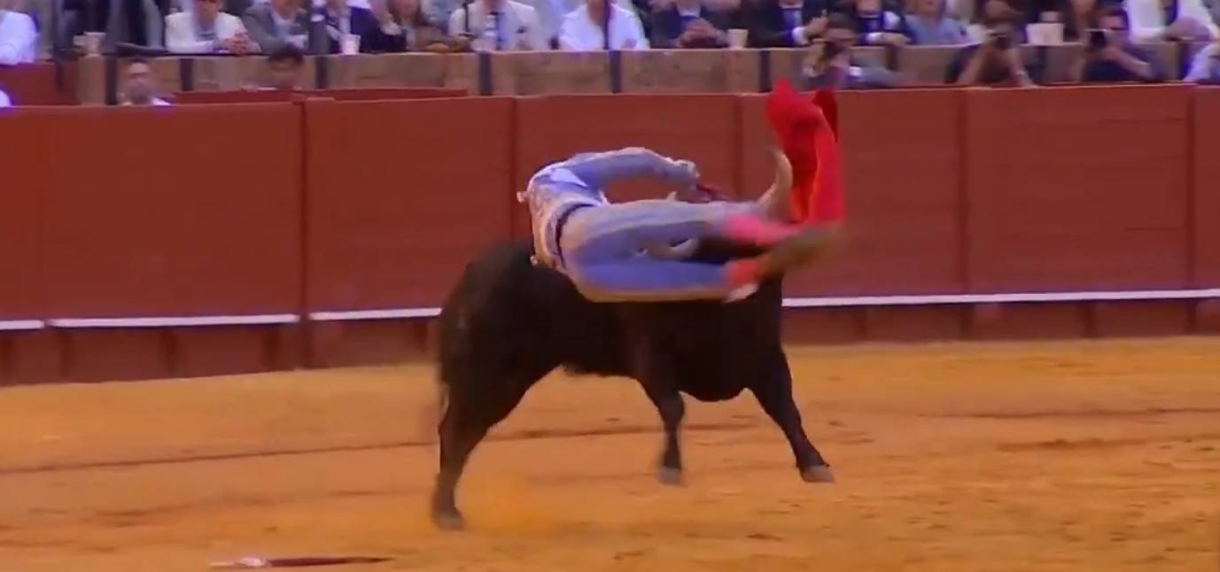 Peruano fica gravemente ferido após levar chifrada de 35 centímetros em tourada na Espanha; veja vídeo