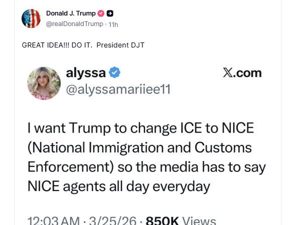 Trump apoia a ideia de mudar a sigla do ICE para NICE, posta porta-voz da Casa Branca