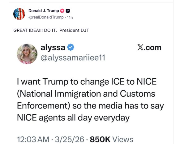 Trump apoia a ideia de mudar a sigla do ICE para NICE, posta porta-voz da Casa Branca