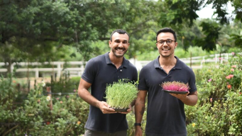 De ‘mato de comer’ à alta gastronomia: agrônomo aposta em plantas comestíveis e duplica faturamento em 2 anos no ES