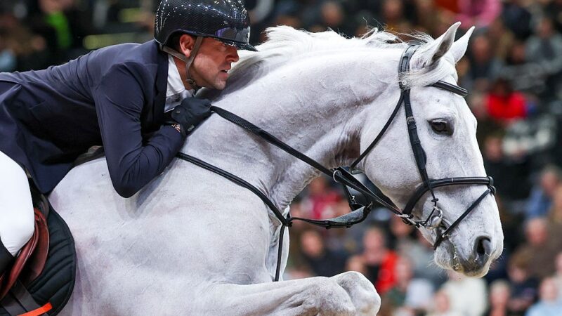 Medalhista olímpico é acusado de vender ilegalmente sêmen congelado de cavalo de R$ 4,6 mi