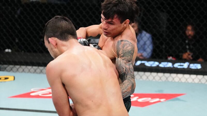 UFC: Alessandro Costa e Alice Pereira levam R$ 516 mil cada um em bônus