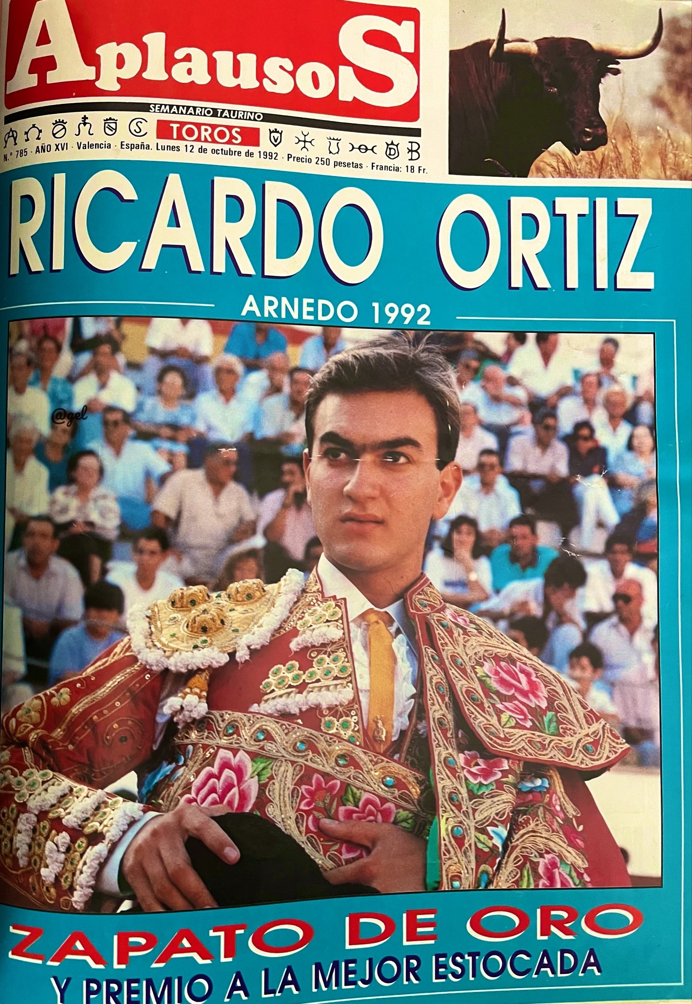 Ex-toureiro morre após ser atacado por touro em arena na Espanha