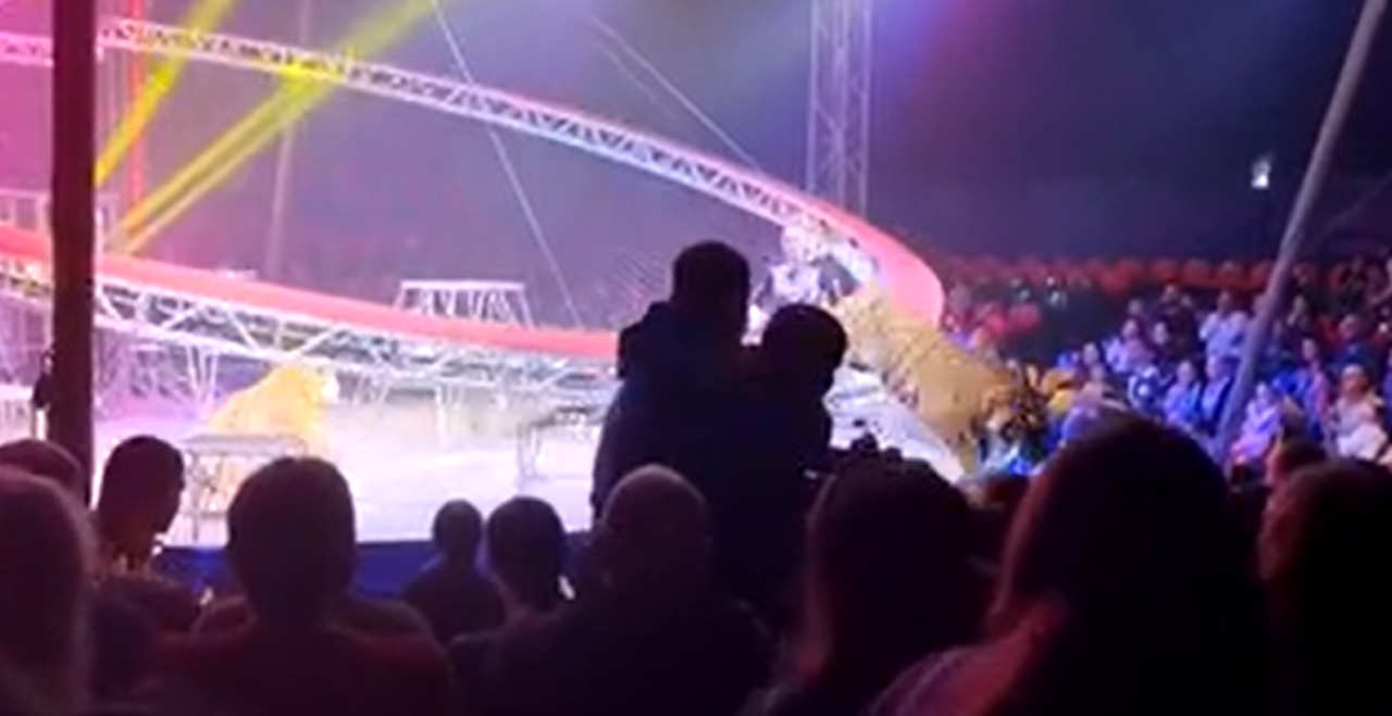 Tigre pula em direção a plateia de circo após grade desabar na Rússia