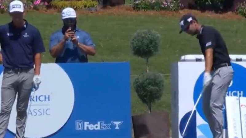Jacaré “invade” campo e passeia entre golfistas durante torneio nos Estados Unidos