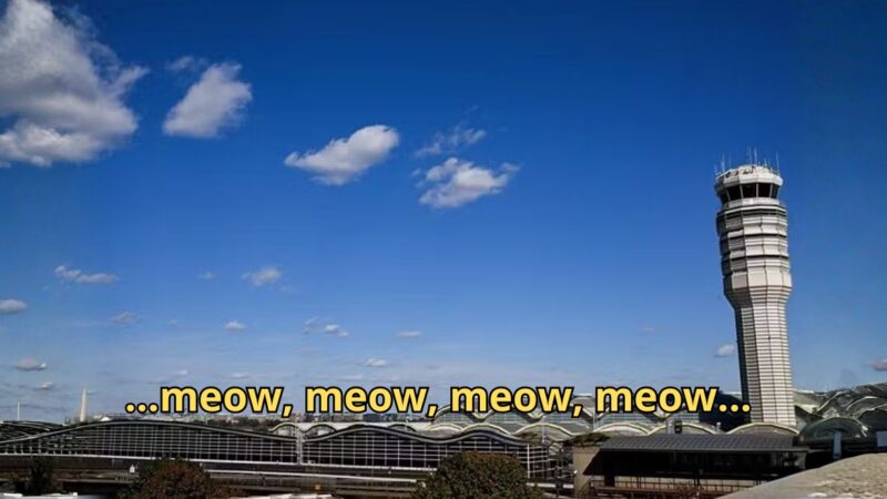 Pilotos latem e miam para torre de controle em aeroporto nos EUA e são repreendidos; ouça