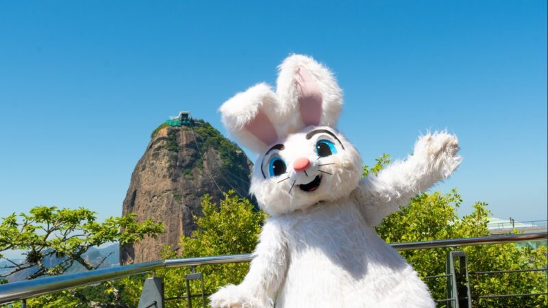 Por que celebramos a Páscoa com coelhos e ovos?