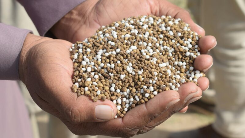 Crise dos fertilizantes: quase metade do adubo importado vem de países em conflito, diz relatório