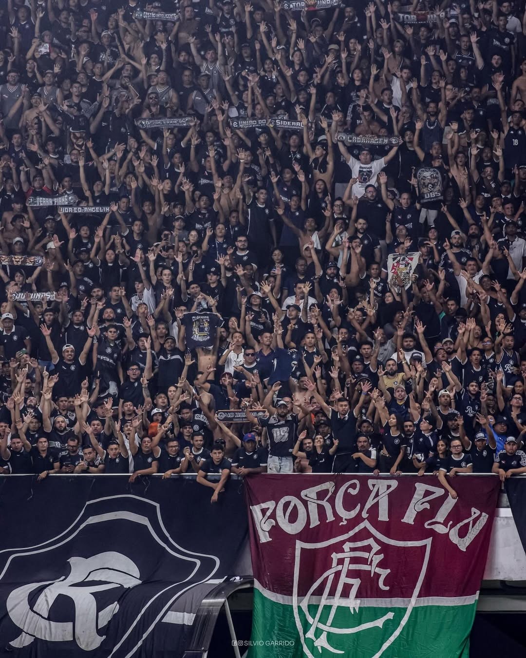 Com quinto maior público da 11ª rodada da Série A, Remo bate próprio recorde na atual edição