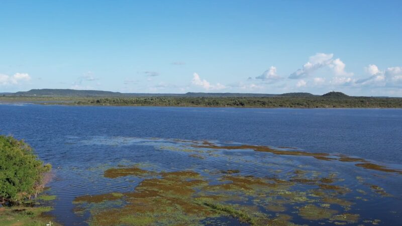 Copa Brasil de Águas Abertas 2026: veja datas, horários e categorias em disputa