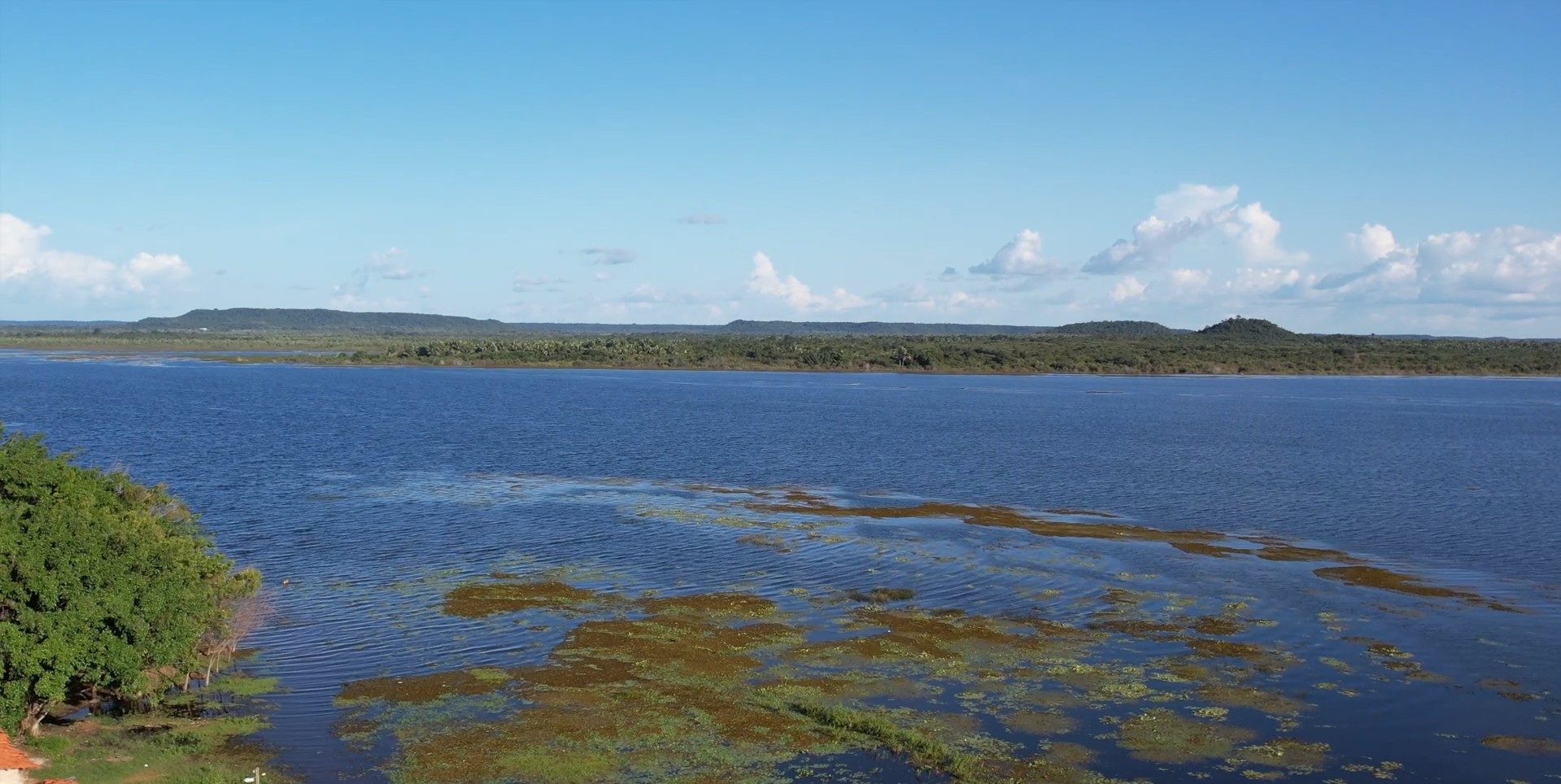 Copa Brasil de Águas Abertas 2026: veja datas, horários e categorias em disputa