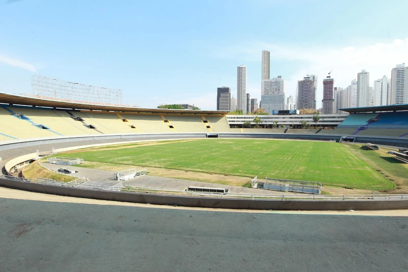 Goiás x Cruzeiro: onde assistir ao vivo, horário e escalações
