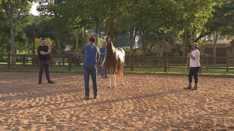 Expo Agro de Itapetininga: a tradição que une gerações e movimenta milhões