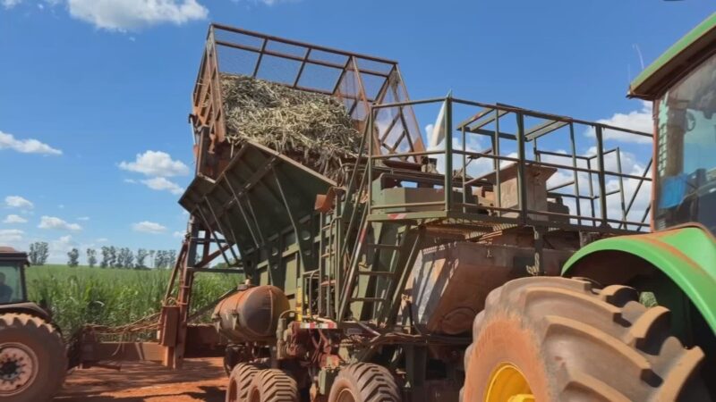 Alta do diesel preocupa produtores de cana no início da safra no interior de SP