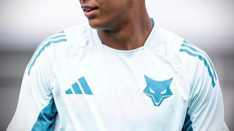 Conheça os sete garotos da base do Cruzeiro que estão sendo observados por Artur Jorge