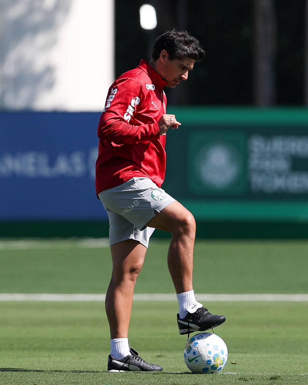 Escalação do Palmeiras: Abel encerra preparativos para Copa do Brasil e terá novos desfalques
