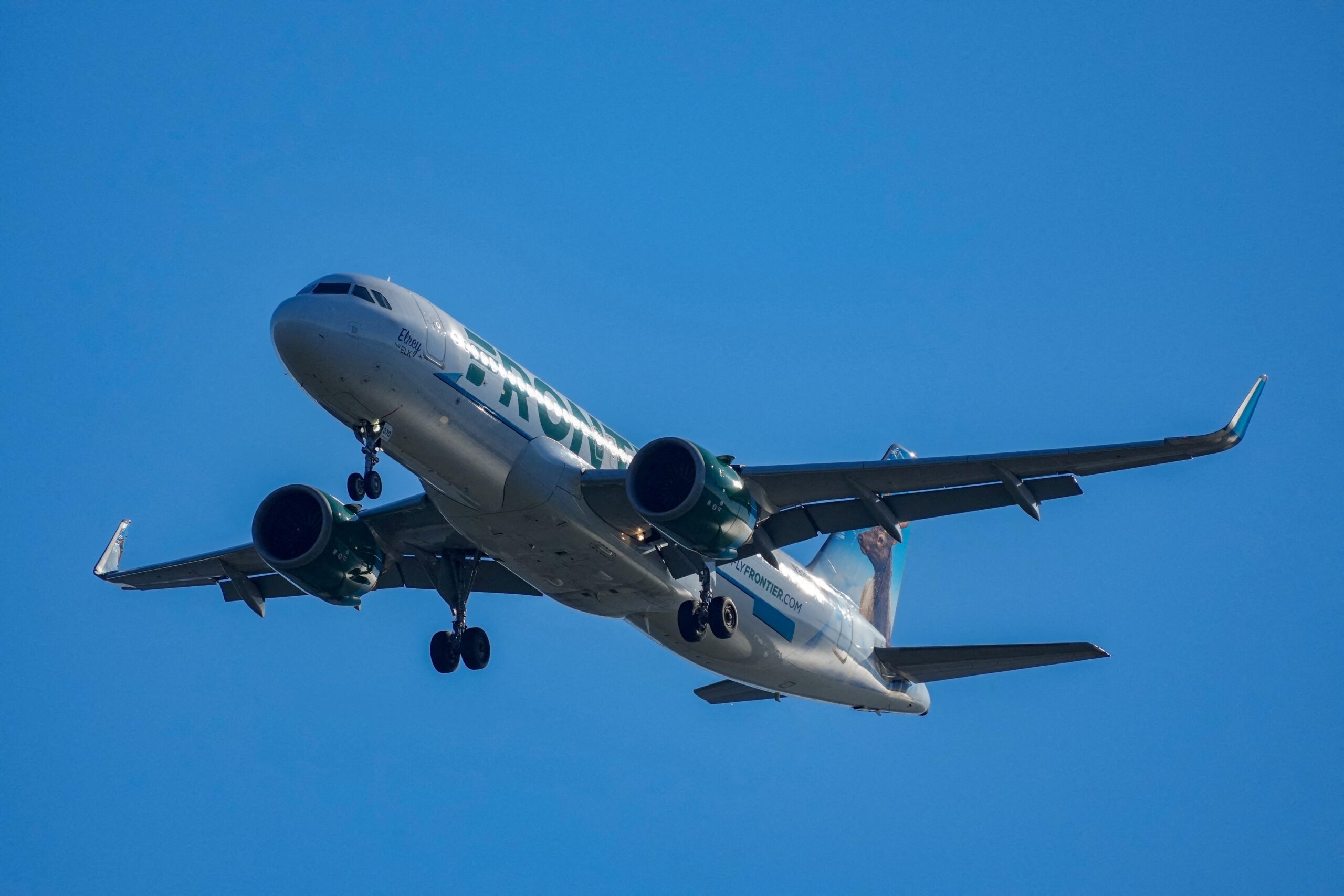 Voo é cancelado após avião atropelar pedestre durante a decolagem em Denver, nos EUA