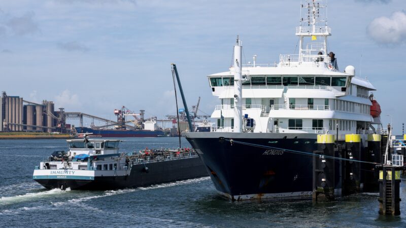 Hantavírus: cruzeiro Hondius é desinfectado e pode retomar viagens após surto a bordo