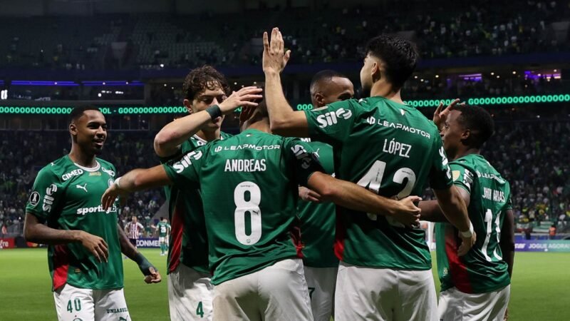 Palmeiras busca fechar semestre com números quase perfeitos antes da pausa para Copa