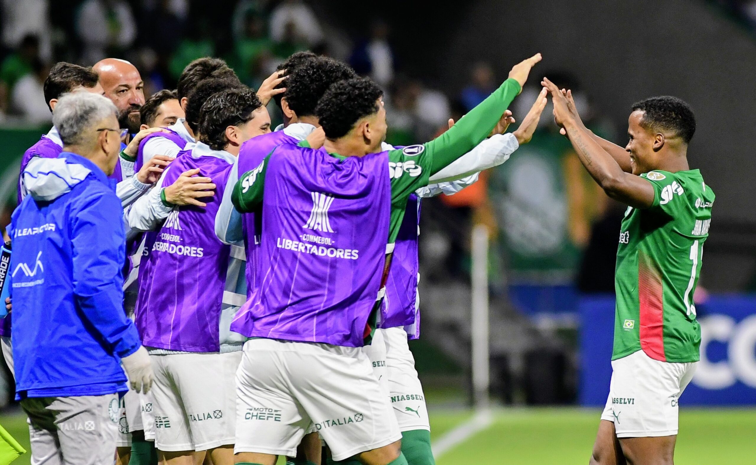 Corinthians? Flamengo? Veja quem o Palmeiras pode enfrentar nas oitavas da Libertadores