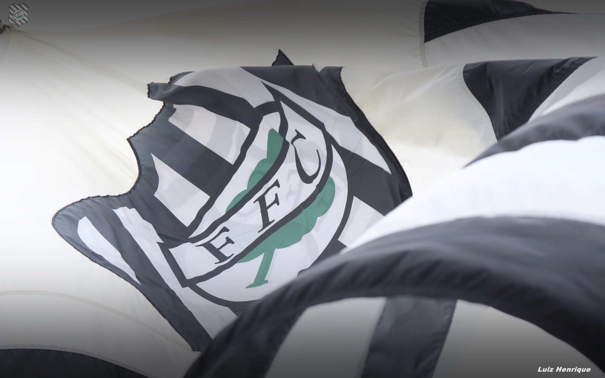 Figueirense recebe nesta quarta-feira as propostas oficiais de aquisição da SAF