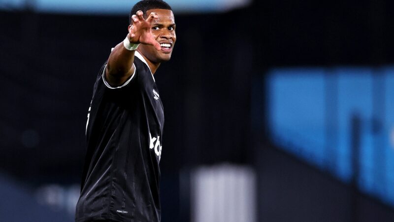 Júnior Santos tem lesão no pé e só retorna ao Botafogo após a Copa do Mundo