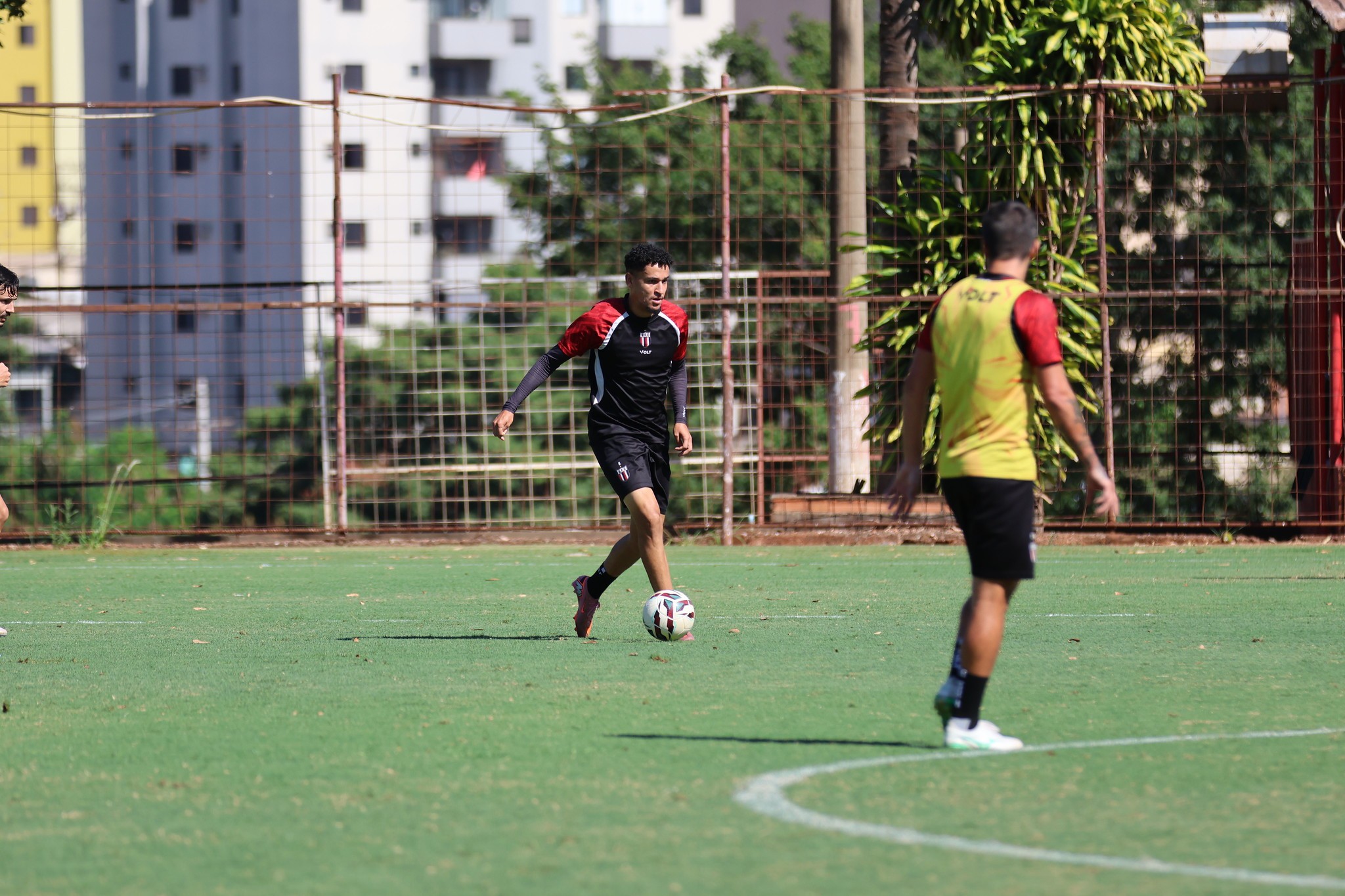 Botafogo-SP quer jogos-treino em semanas cheias para dar ritmo a reservas