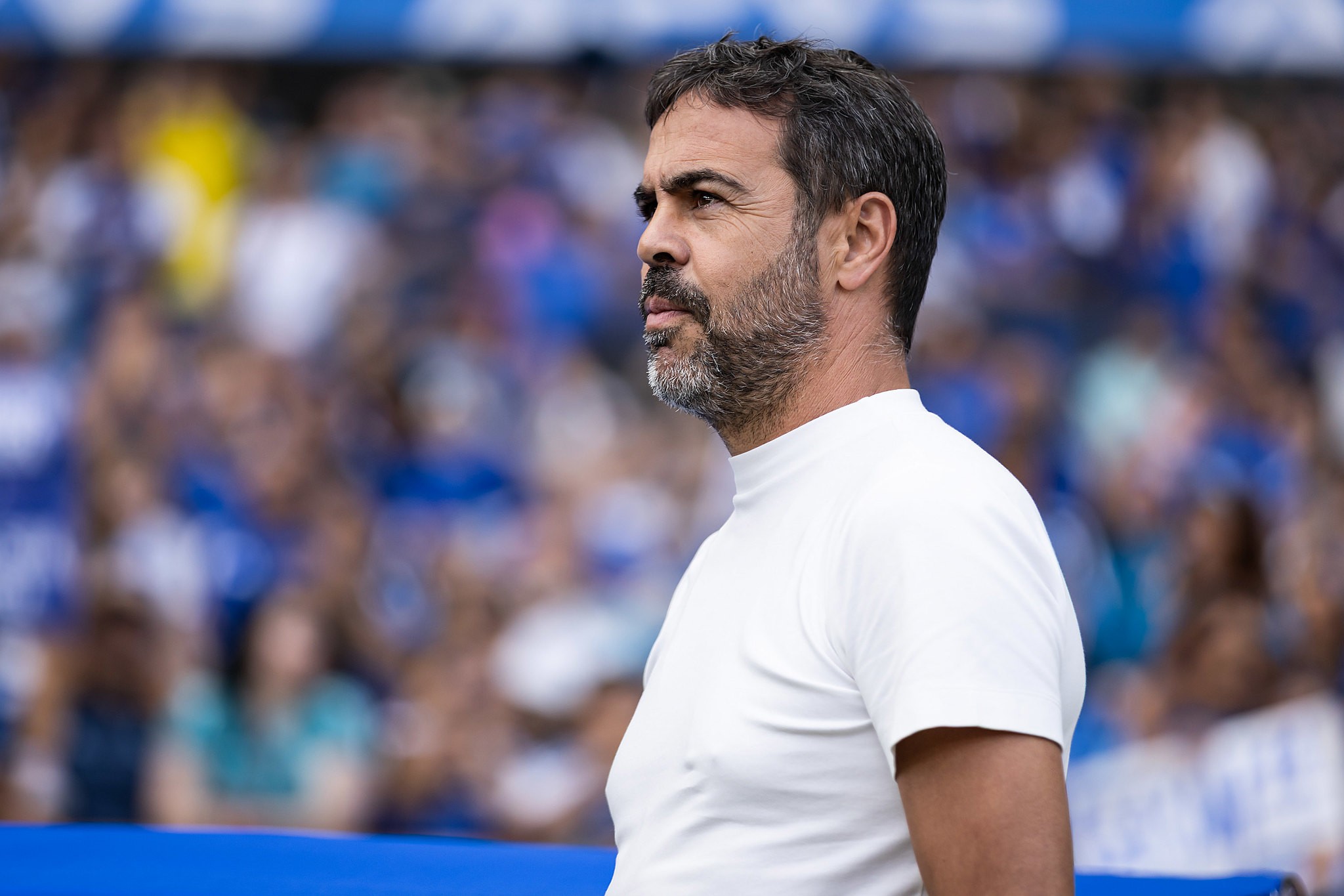 Reforços, prêmio, tabu e meta pré-Copa do Mundo: o que está em jogo para o Cruzeiro na Libertadores