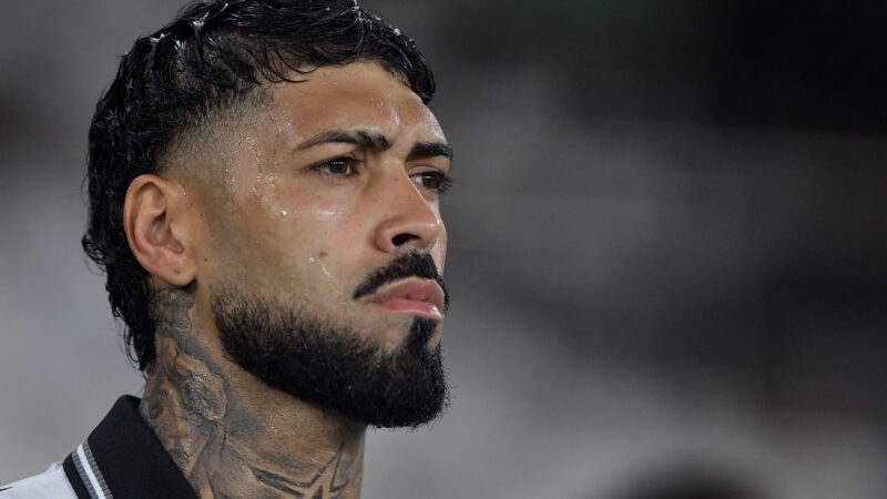 Botafogo prioriza Barboza em jogos importantes e aguarda proposta do Palmeiras