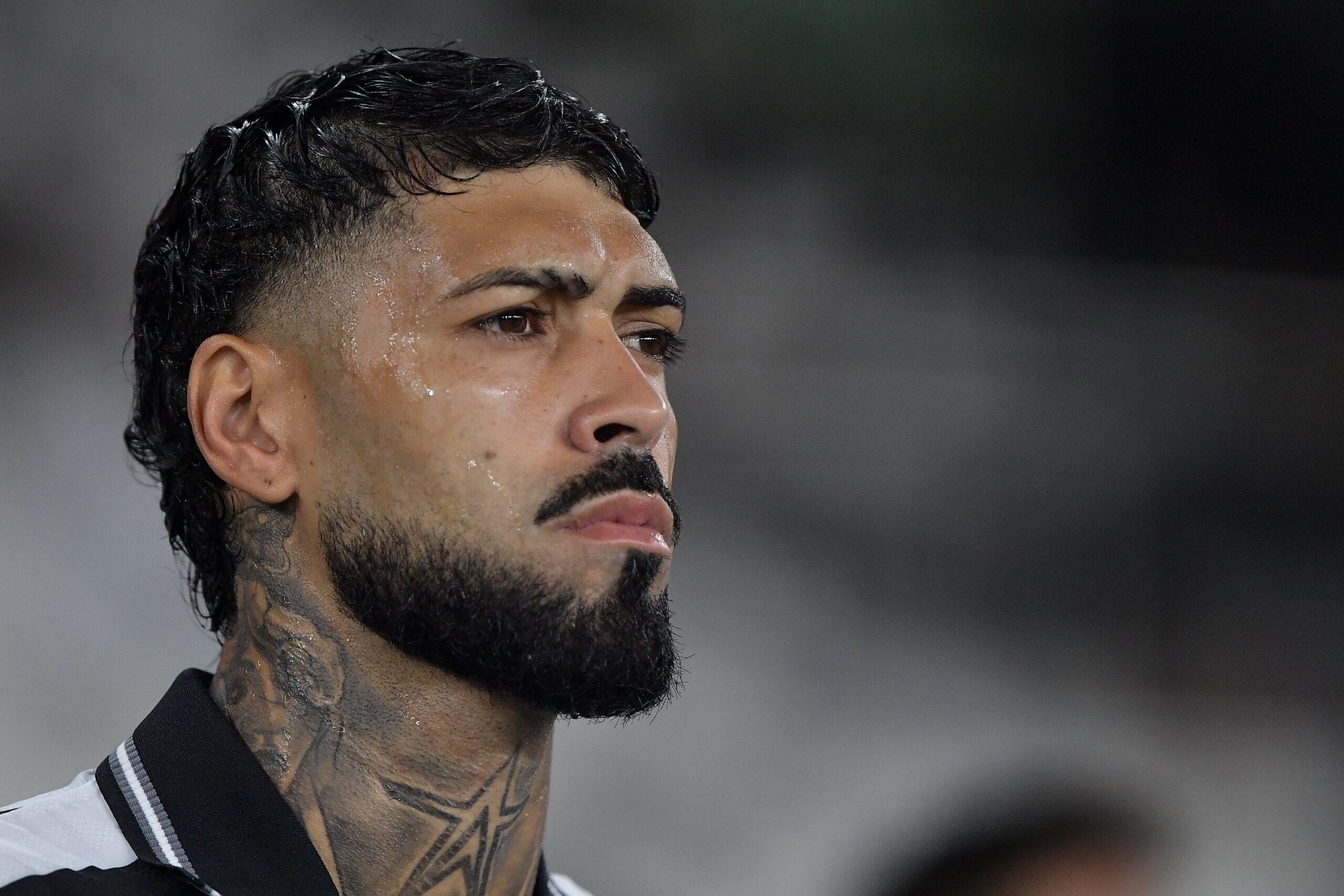 Botafogo prioriza Barboza em jogos importantes e aguarda proposta do Palmeiras