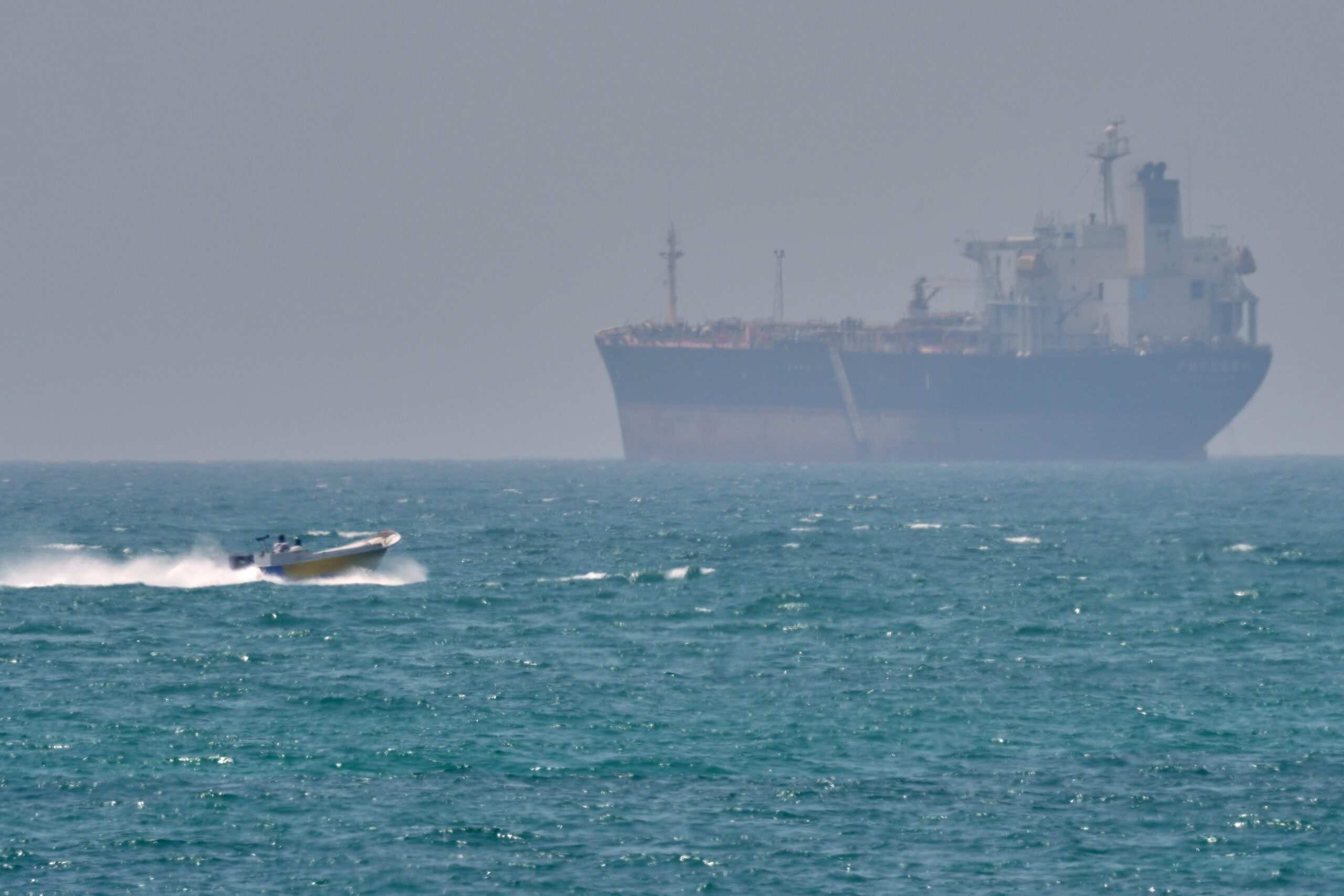 Irã pode usar golfinhos com minas em ataques a navios, diz jornal