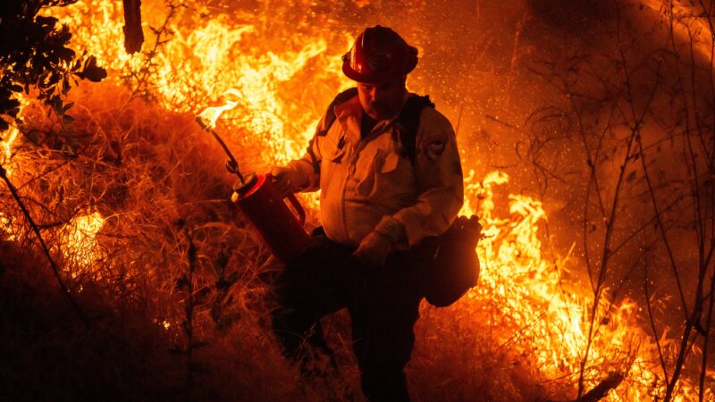 Incêndio florestal provoca evacuação de milhares na Califórnia; VÍDEO e FOTOS