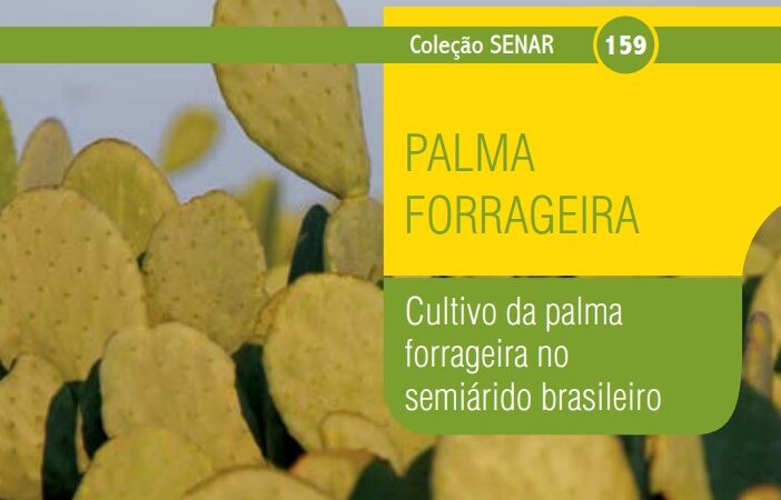 Como cultivar a palma forrageira