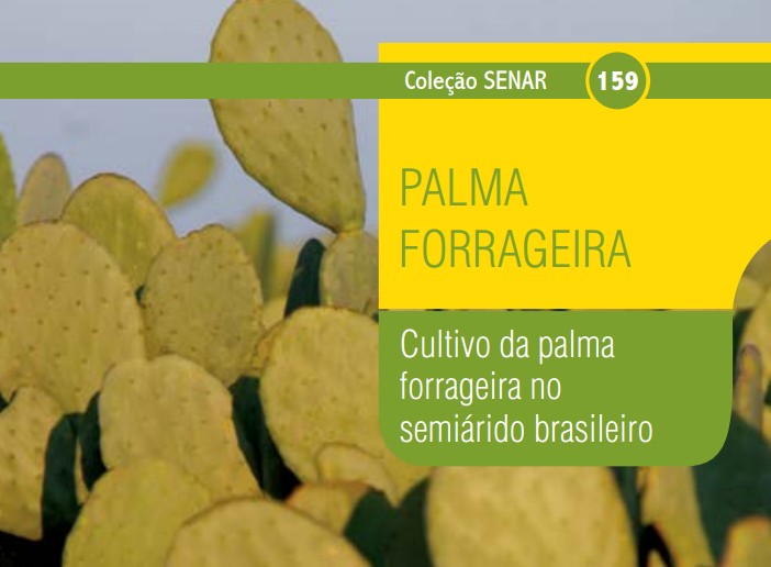Como cultivar a palma forrageira