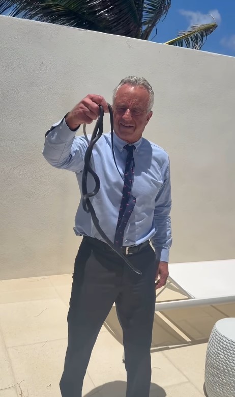 VÍDEO: Robert Kennedy Jr, secretário de Trump, pega cobras com as mãos e é picado